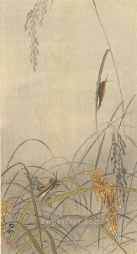  Planta Arte - Saltamontes en las plantas de arroz Ohara Koson Shin hanga